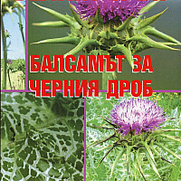 Белият трън - балсамът за черния дроб
