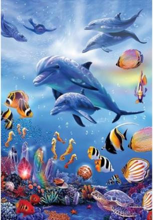 Царството на делфините – 33×48