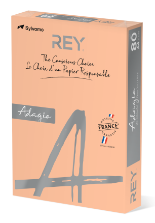 Копирна хартия REY Adagio, A4, 80 г, пастелен цвят Salmon (91), пакет 500 л.