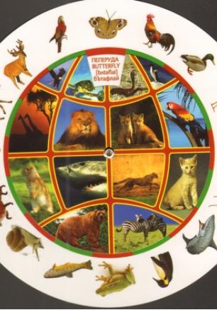 Кръгова таблица: Животните/ Animals с транскрипция