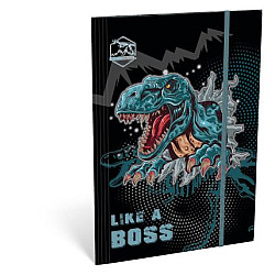 LIZZY CARD DINO COOL Boss папка с ластик
