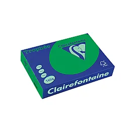 Картон коп.цв., А4, 160 г/м2, Int.Forest Green Trophee