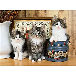 Пъзел NORWEGIAN CATS