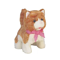 JAMINA Коте с къща