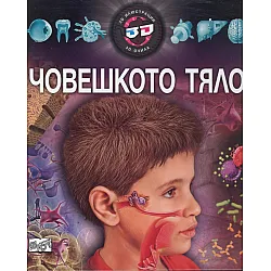 Човешкото тяло