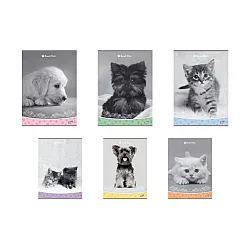 Тетрадка A4 UV Sweet Pets, 60 л.ред, 70 г/м2