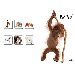 Тетрадка A4 UV Baby, 60+2 л.ред, 70 г/м2