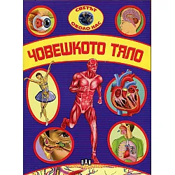Човешкото тяло