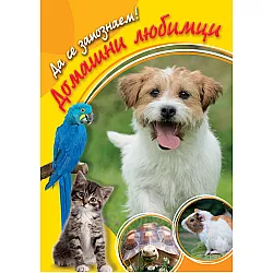 Домашни любимци