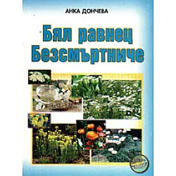 Бял равнец. Безсмъртниче