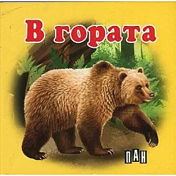 В гората/ Картонена книжка