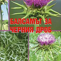 Белият трън - балсамът за черния дроб