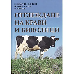 Отглеждане на крави и биволици