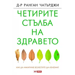 Четирите стълба на здравето