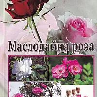 Маслодайна роза