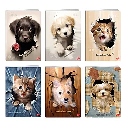 Тетрадка A5 мат/UV Peekaboo Pets, 60+2 л.ред, 70 г/м2