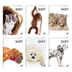 Тетрадка A4 UV Baby, 60+2 л.ред, 70 г/м2