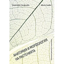 Анатомия и морфология на растенията