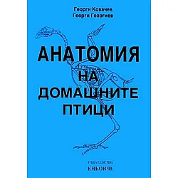 Анатомия на домашните птици