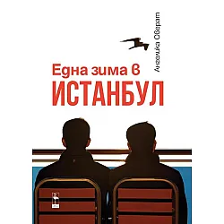 Една зима в Истанбул
