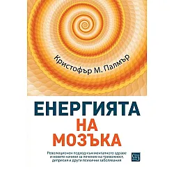 Енергията на мозъка