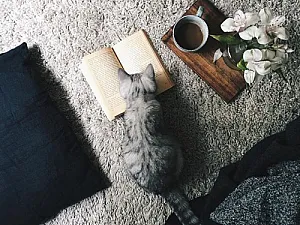 "Книга за другите" или едно литературно предизвикателство от Зейди Смит