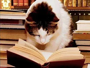 14 причини да четете всеки ден