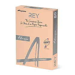 Копирна хартия REY Adagio, A4, 80 г, наситен цвят Beige (98), пакет 500 л.