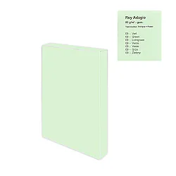 Копирна хартия REY Adagio, A5, 80 г, пастелен цвят Green (09), пакет 500 л.