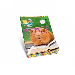 Multiprint тетрадка A5, 20 л., тесни и широки редове, офсет, меки корици