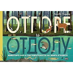 Отгоре и отдолу: Животните над и под повърхността на земята и водата