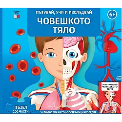 Пътувай, учи и изследвай: Човешкото тяло