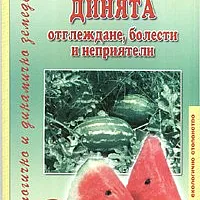 Динята - отглеждане, болести и неприятели