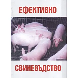 Ефективно свиневъдство