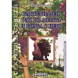 Бактериален рак по лозата и борба с него