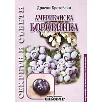 Американска боровинка