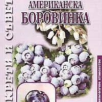 Американска боровинка