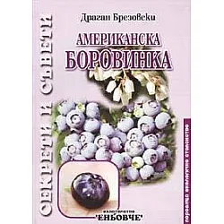 Американска боровинка