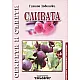 Сливата