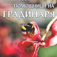 Врагове и помощници на градинаря