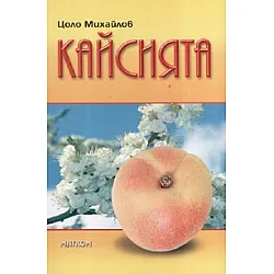 Кайсията
