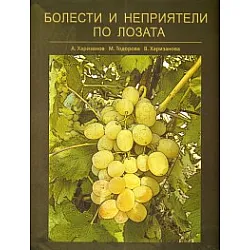 Болести и неприятели по лозата