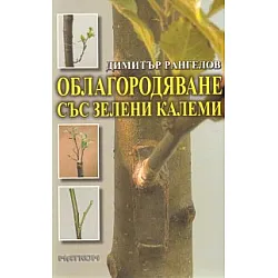 Облагородяване със зелени калеми