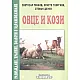 Овце и кози. Развъждане, хранене, болести и здравеопазване