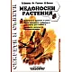 Медоносни растения