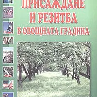 Присаждане и резитба в овощната градина