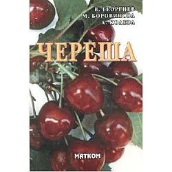Череша