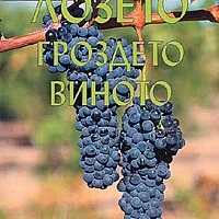 Лозето, гроздето, виното