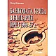 Банковата криза в България през 1996-97 г.