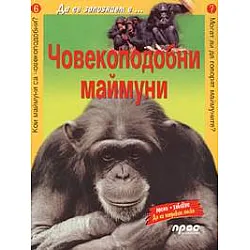 Човекоподобни маймуни/ Да се запознаем с... №6